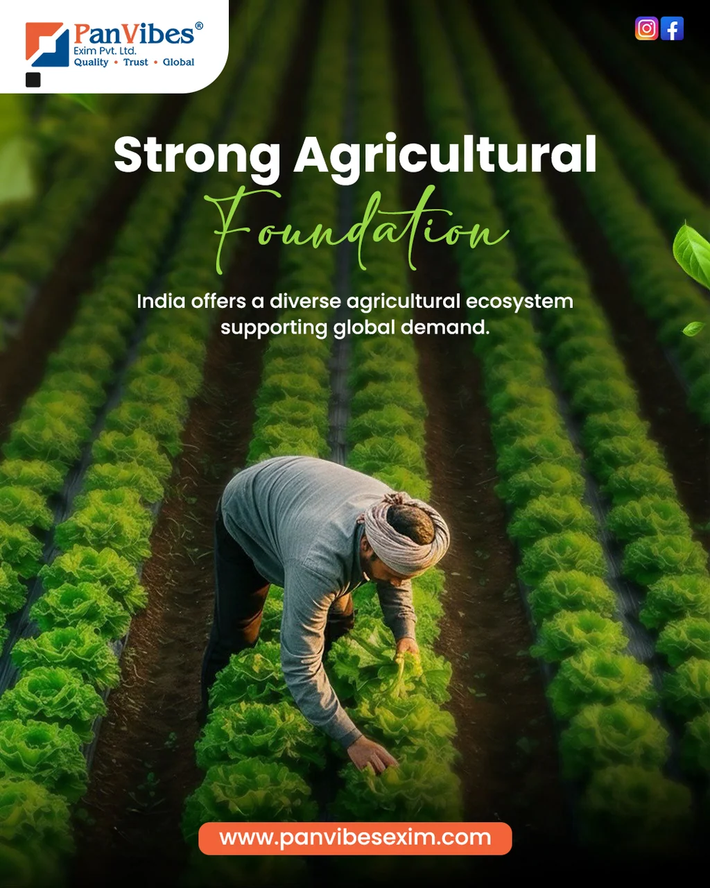 Agro Product Exporter in India